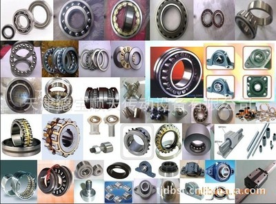 双列单锁圈满装圆柱滚子轴承 SL185005 INA轴承与NNCF5005ADA轴承深度解析